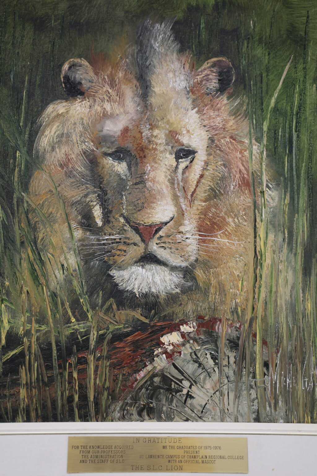 History - slider image