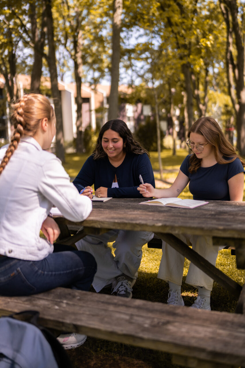 Accordion module image