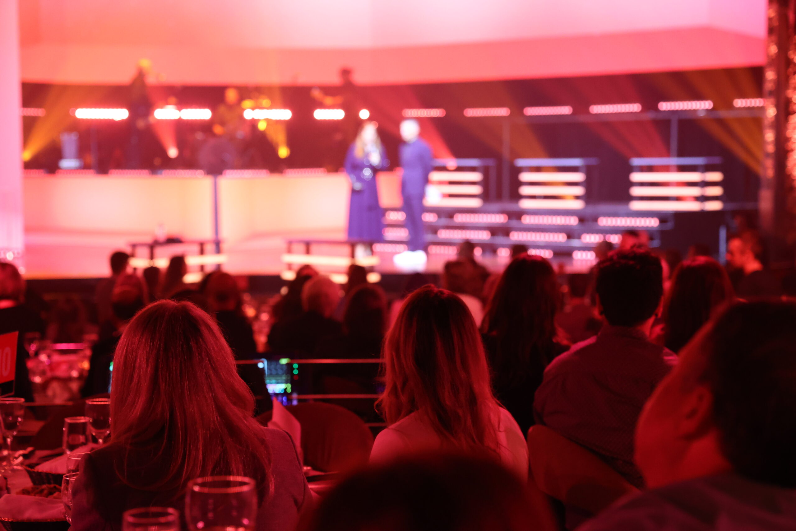 Attendees watch as the gala's organizers recognize the 25th anniversary of Forces Avenir.