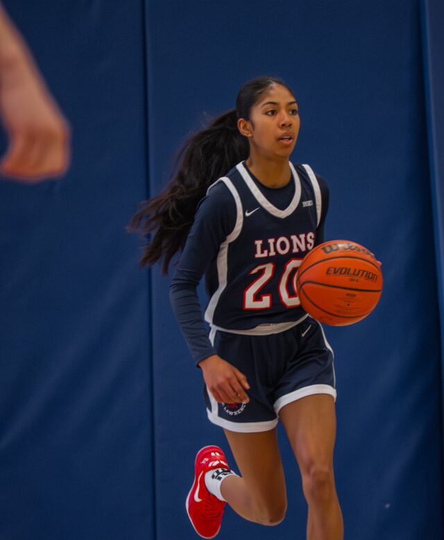 Basketball (W) D3