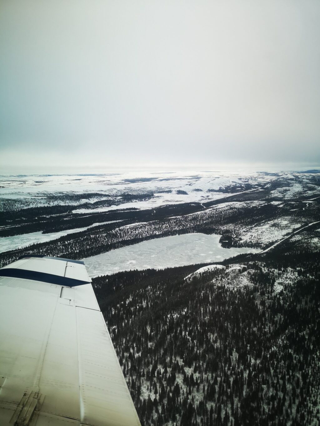 Image of the module text and image above