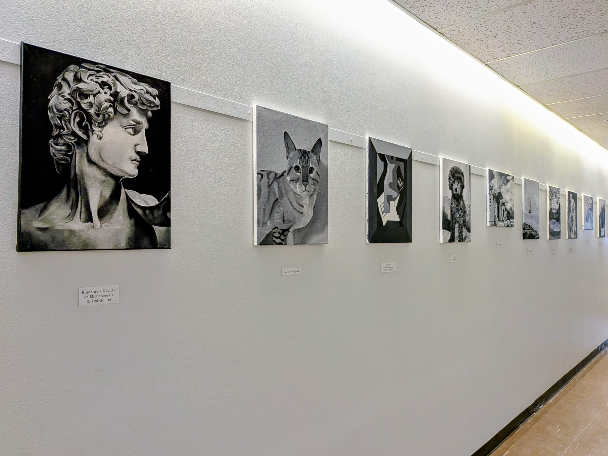 Display of black-and-white paintings hung in a corridor